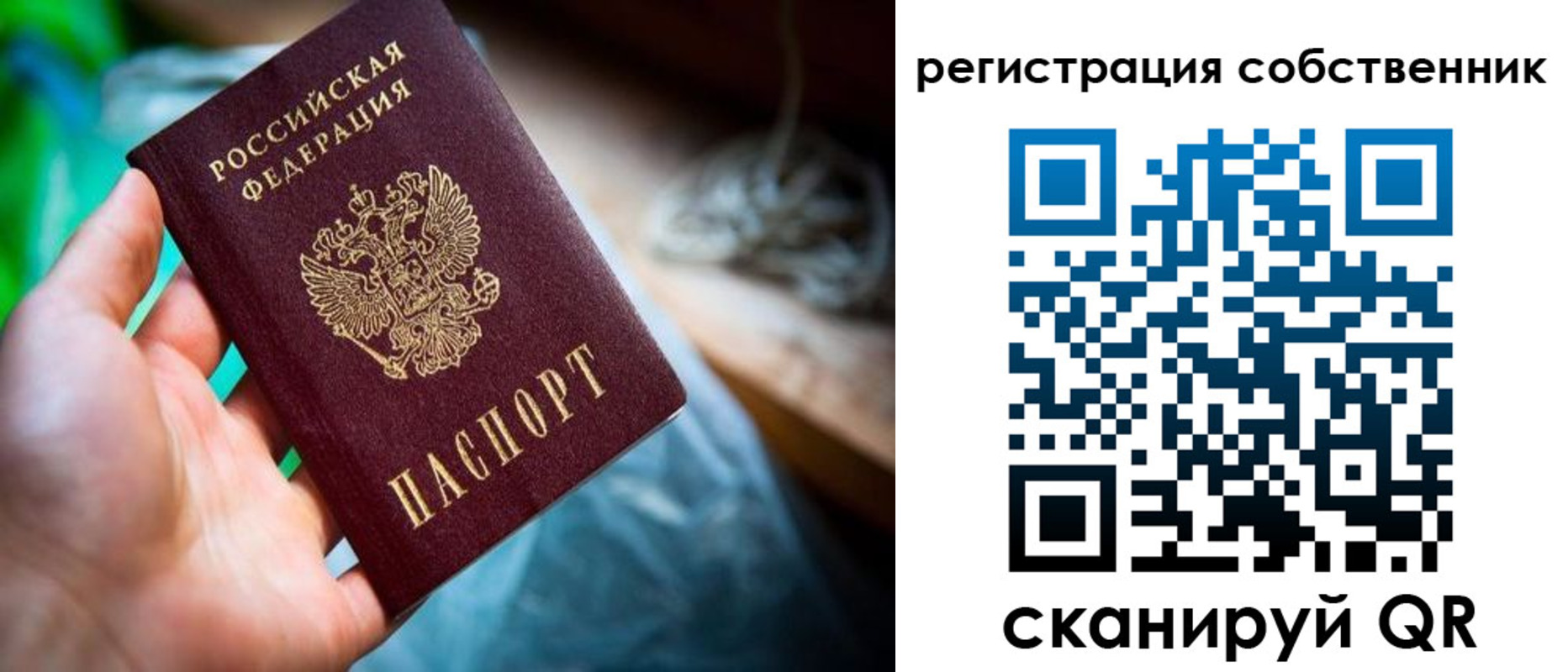прописка гарантия в Камызяке